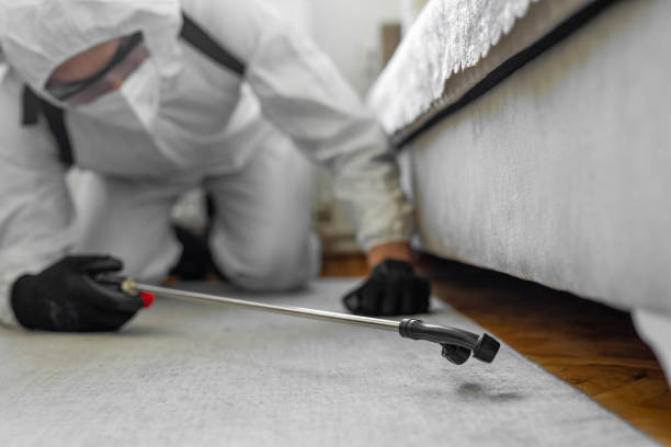 Professional Bed Bug Control technician working in Harrington Park, NJ
