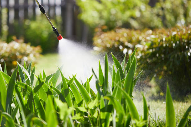 24/7 Emergency Bed Bug Control experts in Harrington Park, NJ
