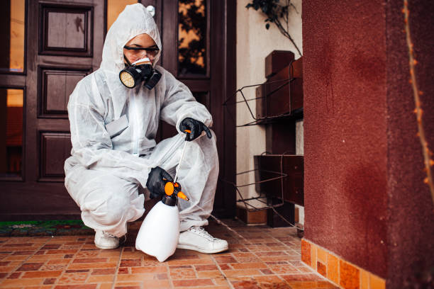 Reliable Bed Bug Control contractor in Harrington Park, NJ by Nex Pest Control