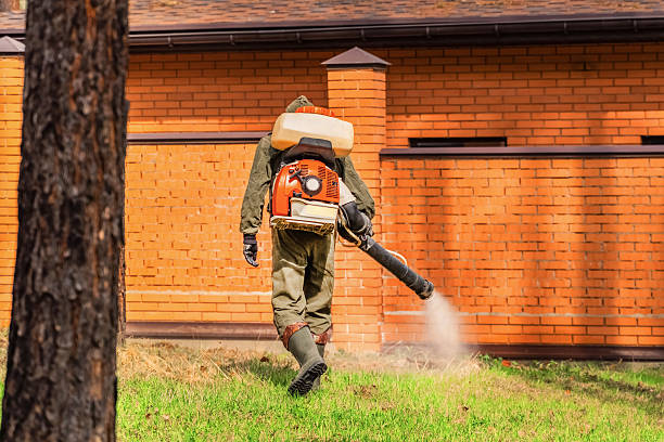 Trusted Termite Control service in Harrington Park, NJ - Nex Pest Control